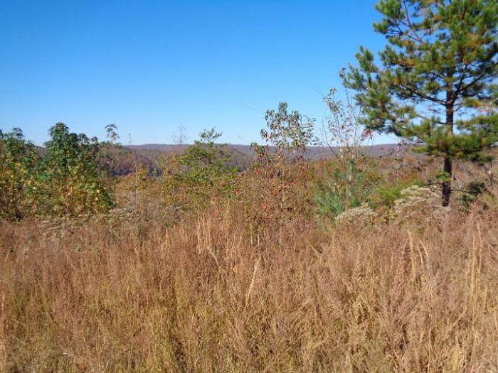 Used LOT 22 TWIN FEATHERS DR