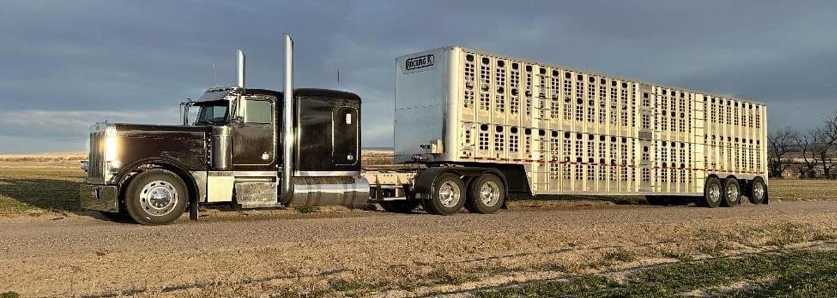 Used 2022 WILSON 53 ft x 102 in