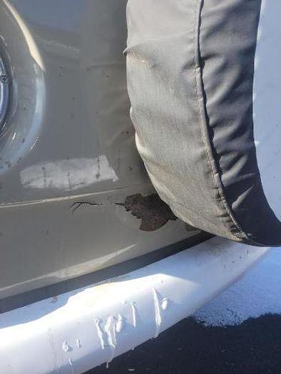 Used 1970 Volkswagen EuroVan