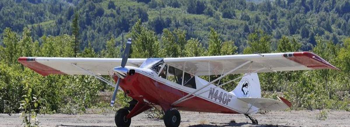 Used 2006 Aviat Husky A-1B