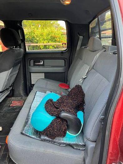 Used 2013 Ford F-150 XLT