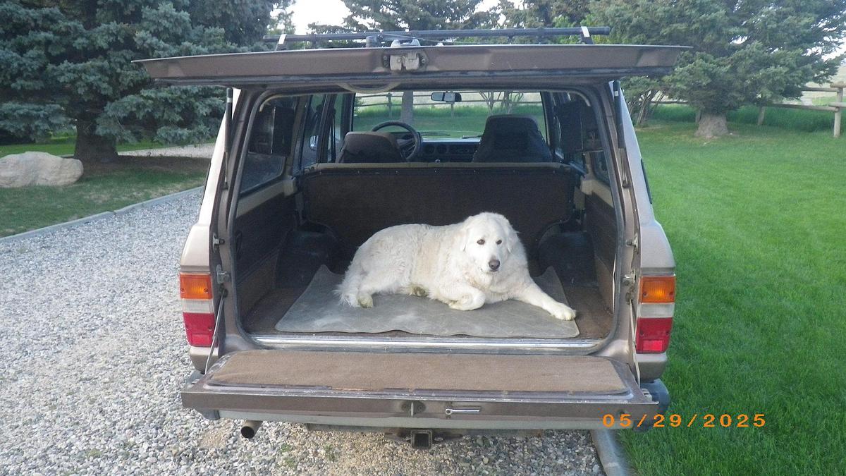 Used 1985 Toyota Land Cruiser
