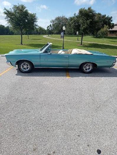 Used 1965 Pontiac GTO