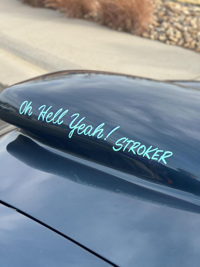 Used 1974 Datsun 260z