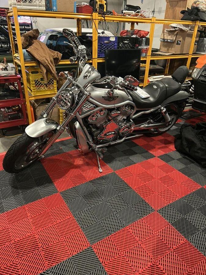 Used 2003 Harley Davidson VROD VROD Muscle