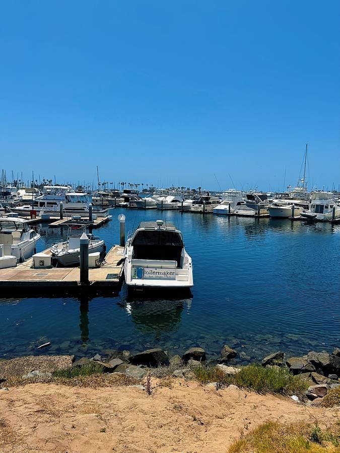 Used 1991 Bayliner Avanti 3555