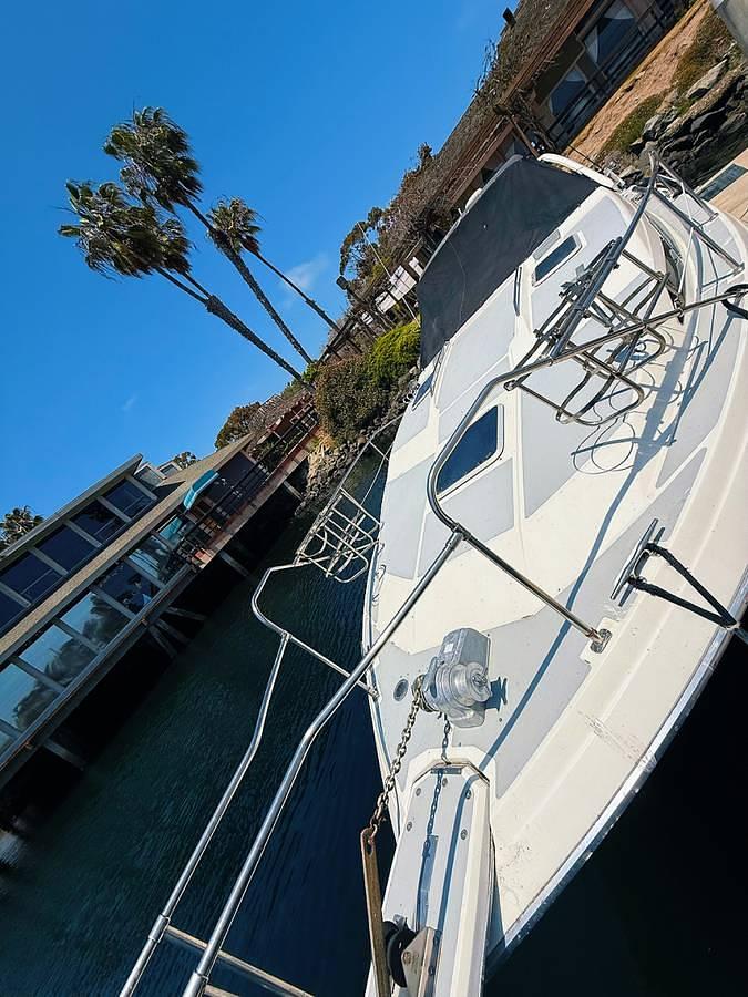 Used 1991 Bayliner Avanti 3555