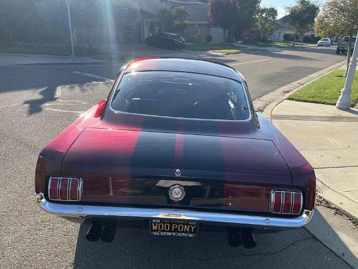 Used 1965 Ford Mustang Fastback