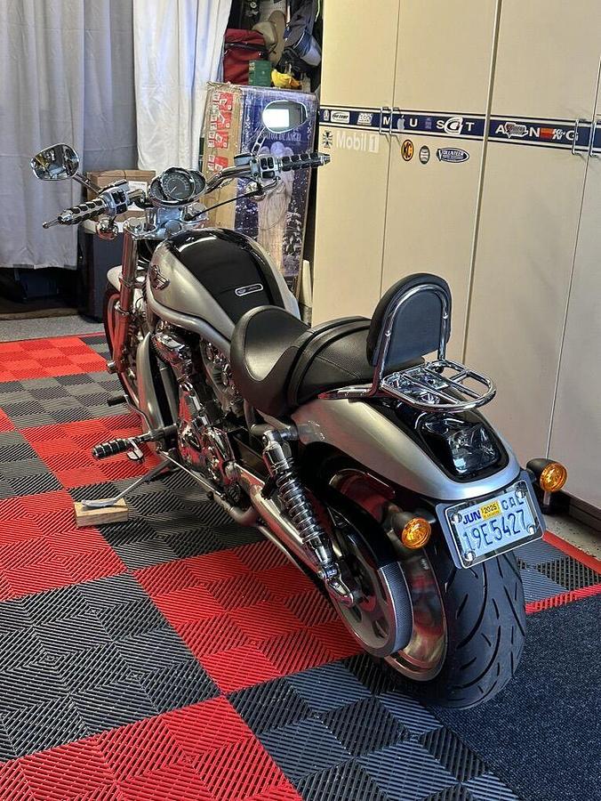 Used 2003 Harley Davidson VROD VROD Muscle