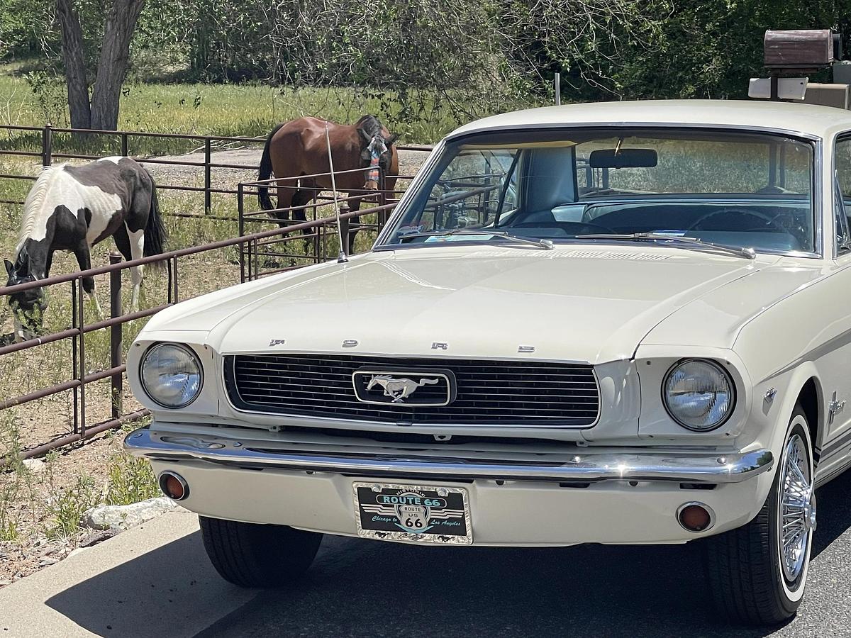 Used 1966 Ford Mustang Coupe