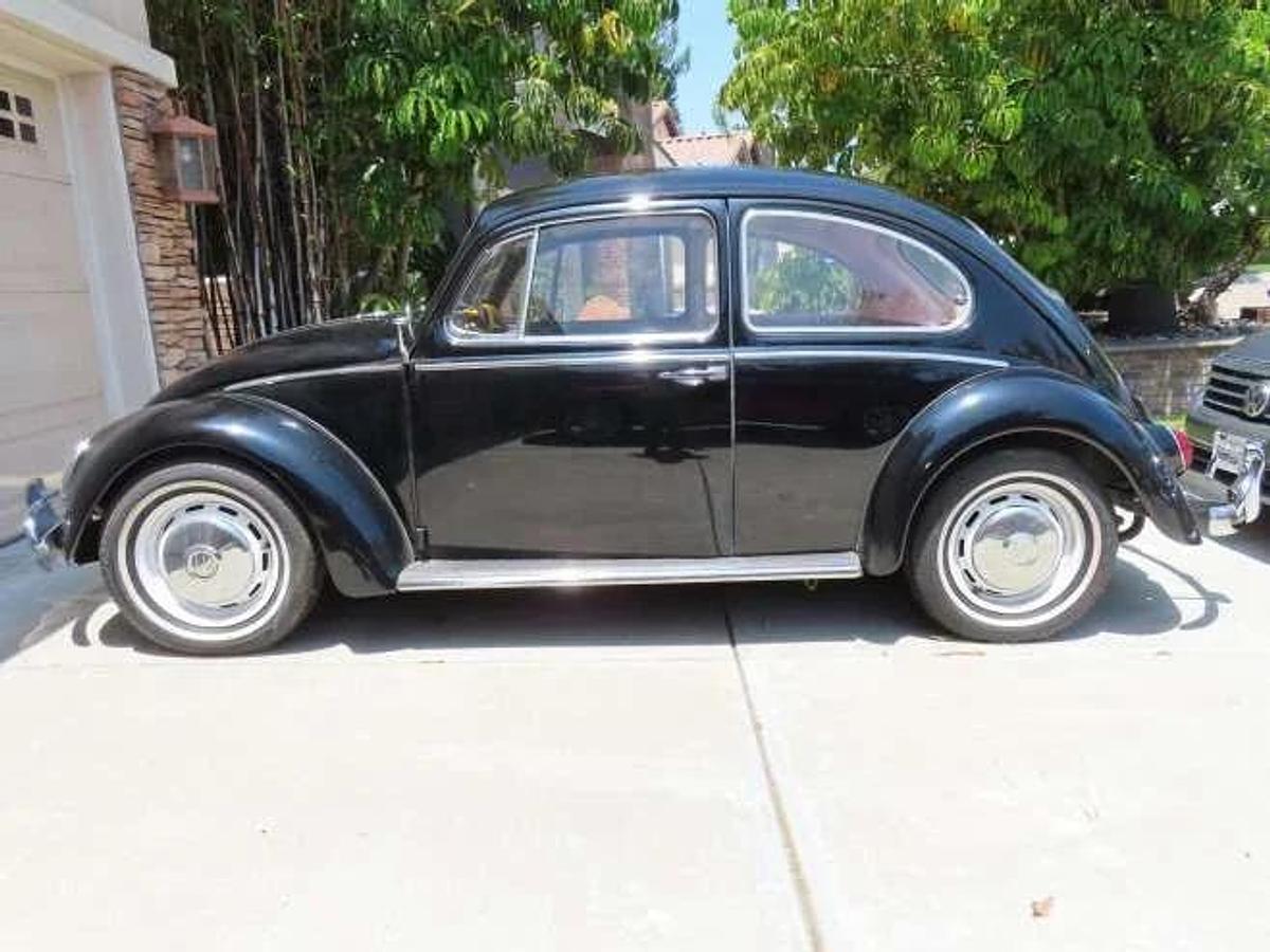 Used 1966 Volkswagen Beetle Coupe