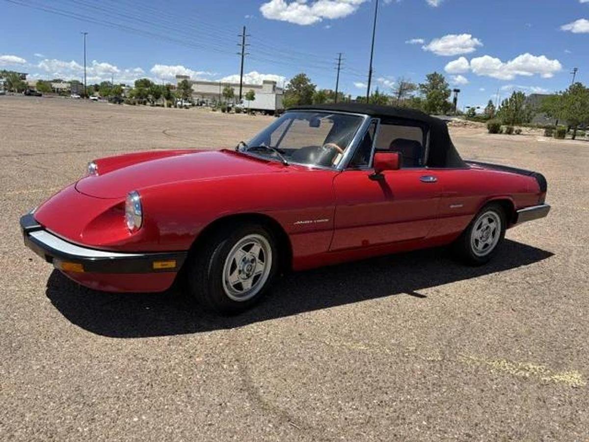 Used 1986 Alfa Romeo Spider