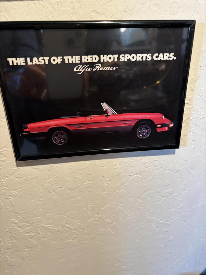 Used 1986 Alfa Romeo Spider