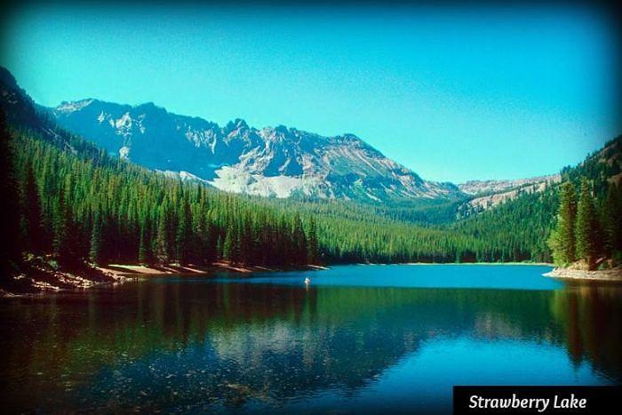 Used Unknown 100 Acres in Willow Creek Hot Springs, Fields, OR