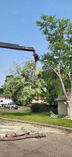 Used 2006 STERLING LT9500 with a Fassi F330SE Crane