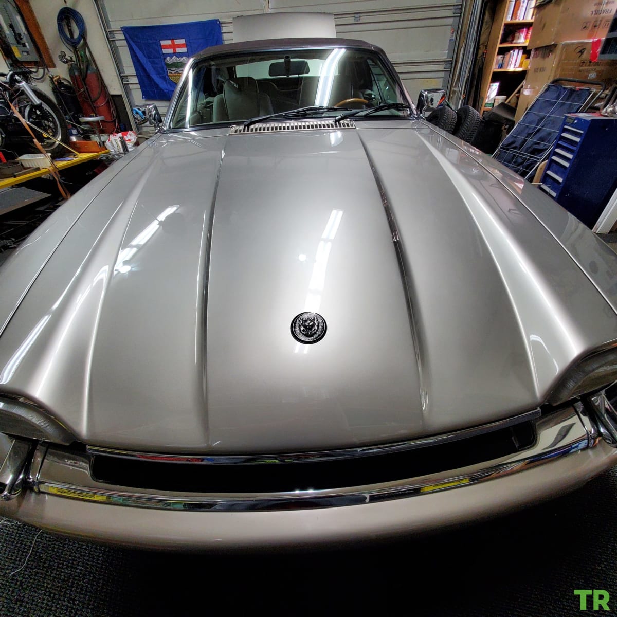 Used 1996 Jaguar