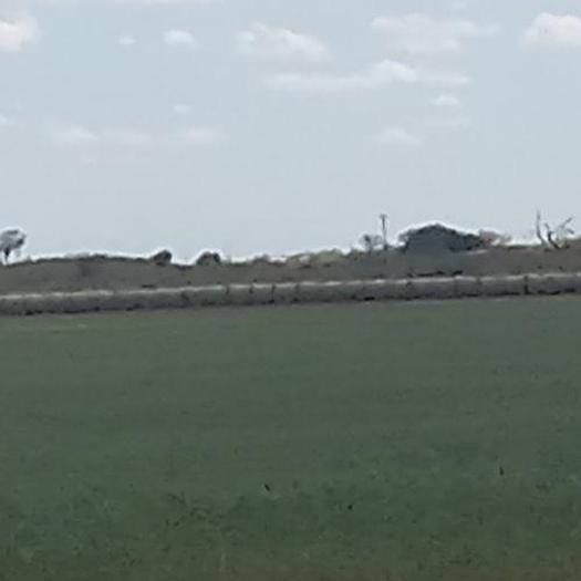 Used 2024 AG Land 162 Acres