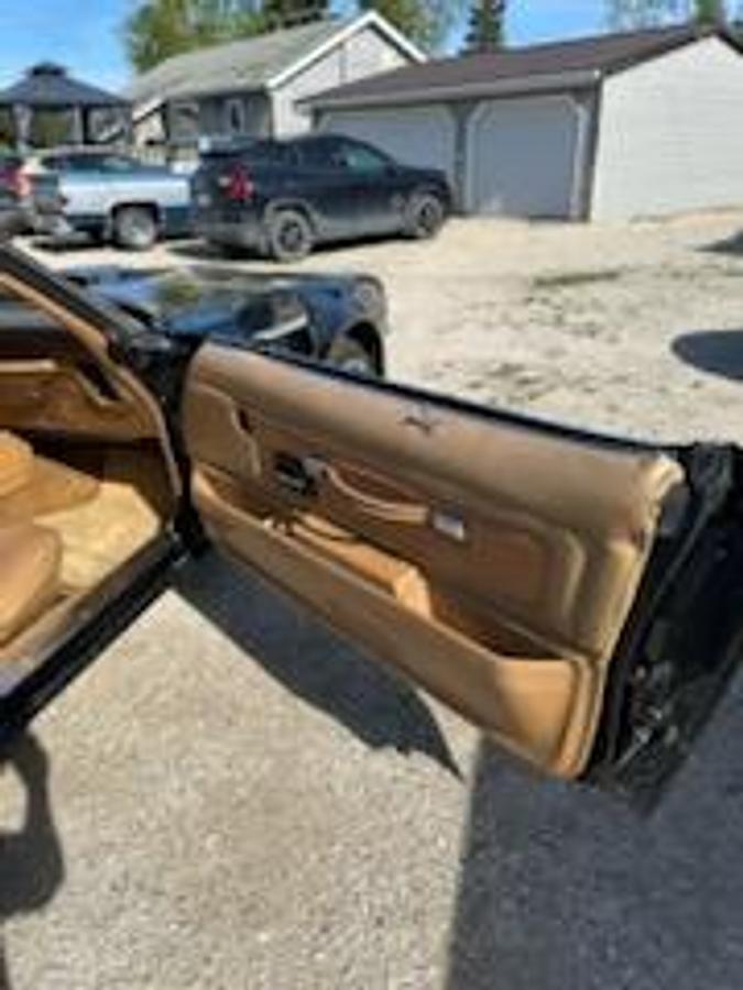 Used 1977 Pontiac Trans Am