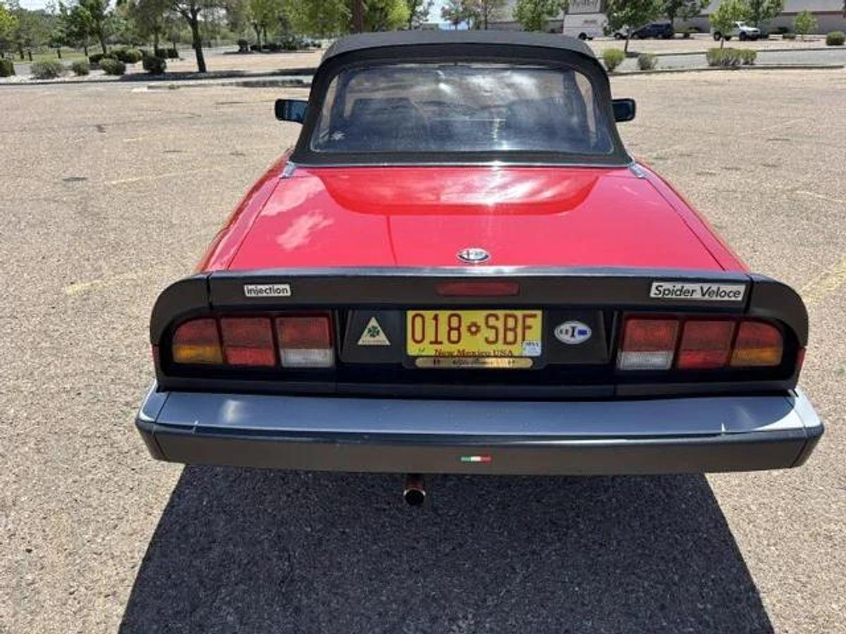 Used 1986 Alfa Romeo Spider