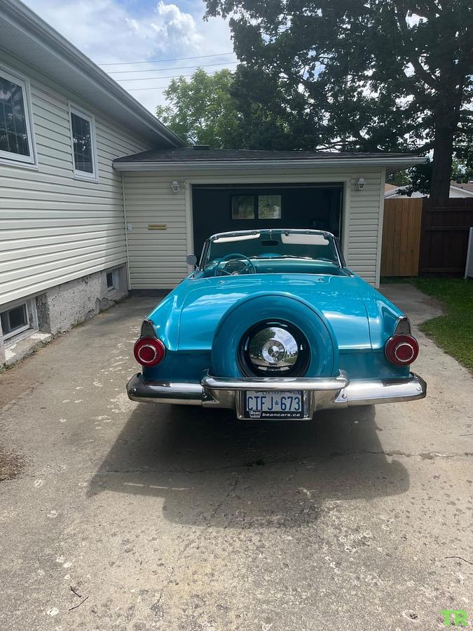 Used 1956 Ford Thunderbird
