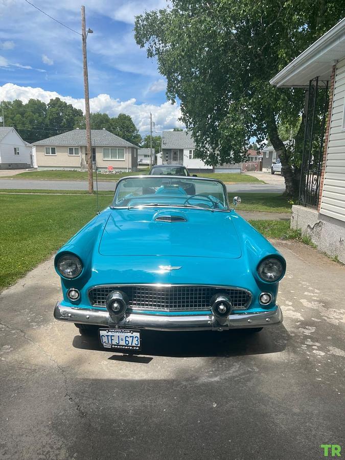 Used 1956 Ford Thunderbird