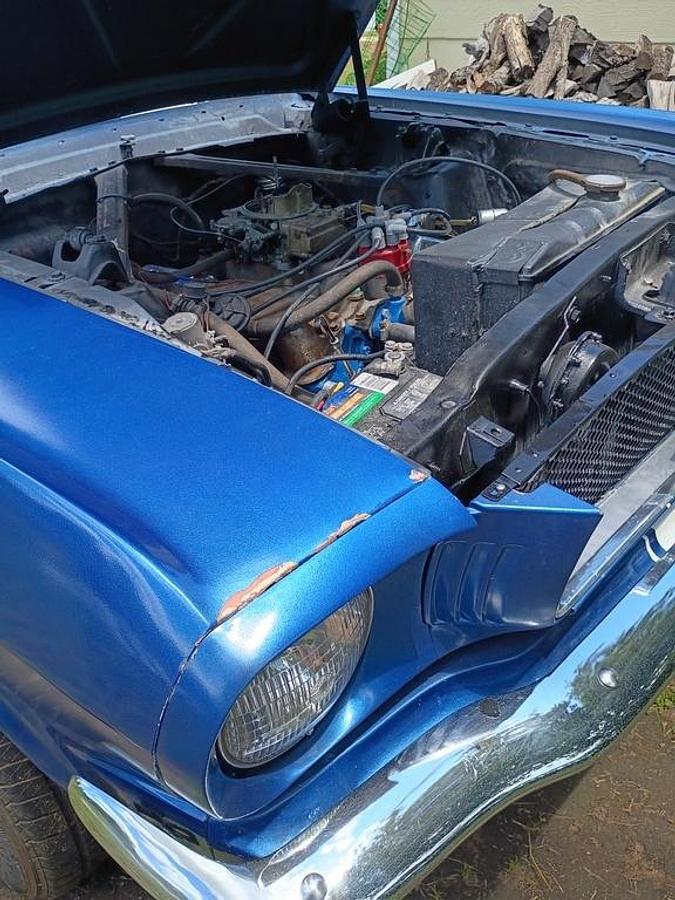 Used 1965 Ford Mustang Coupe