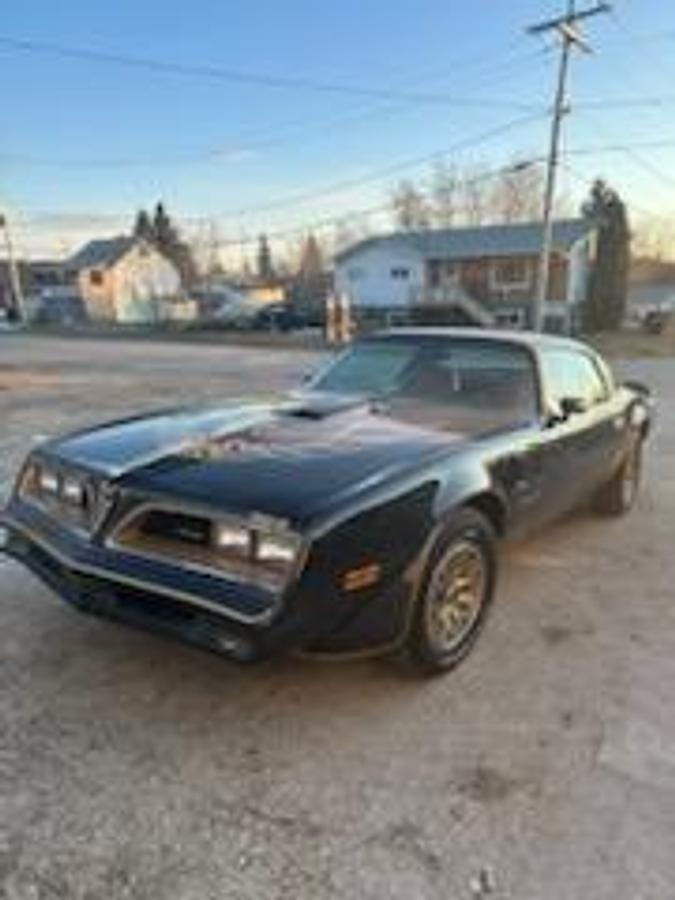 Used 1977 Pontiac Trans Am