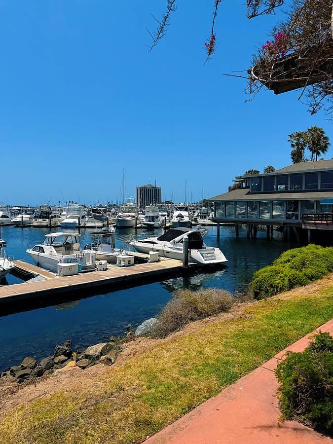 Used 1991 Bayliner Avanti 3555