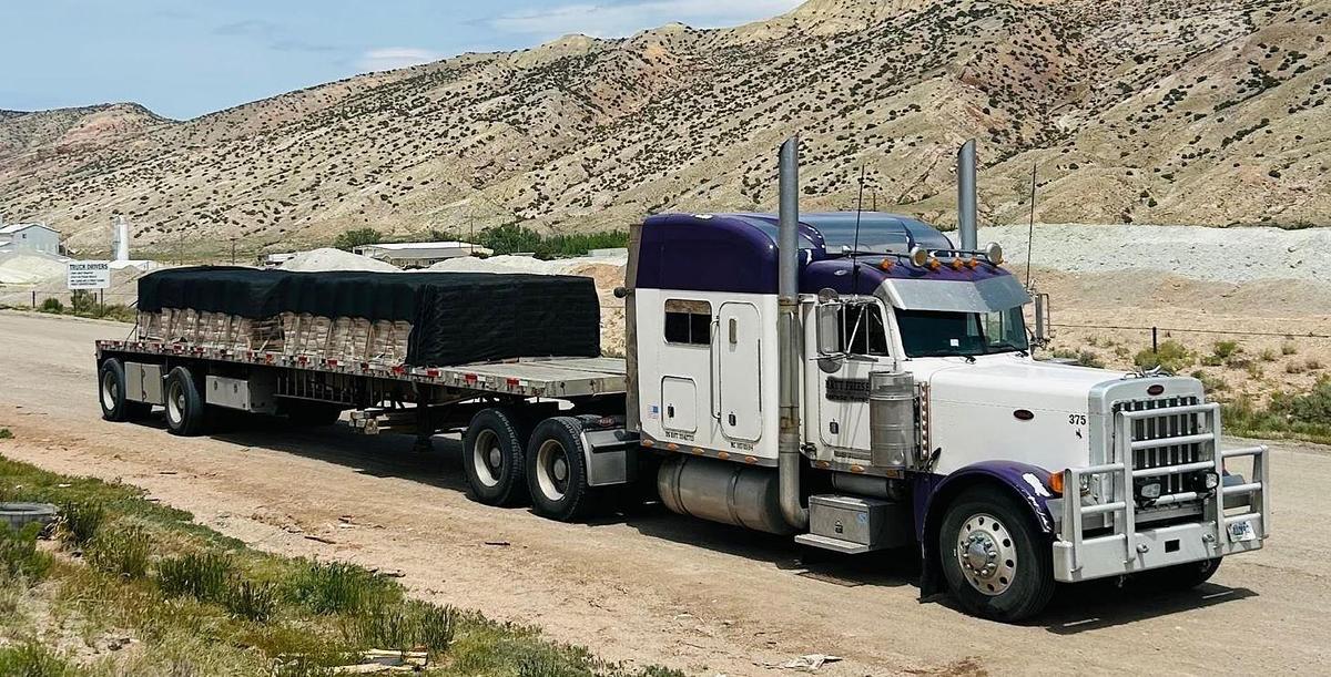 Used 2000 PETERBILT 379 & 2000 Wilson Aluminum Flatbed Trailer