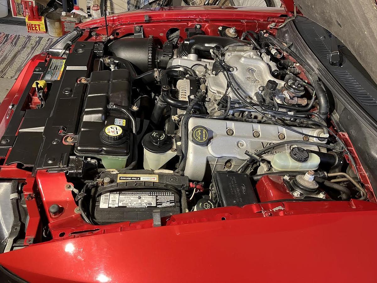 Used 2001 Ford Mustang Cobra SVT