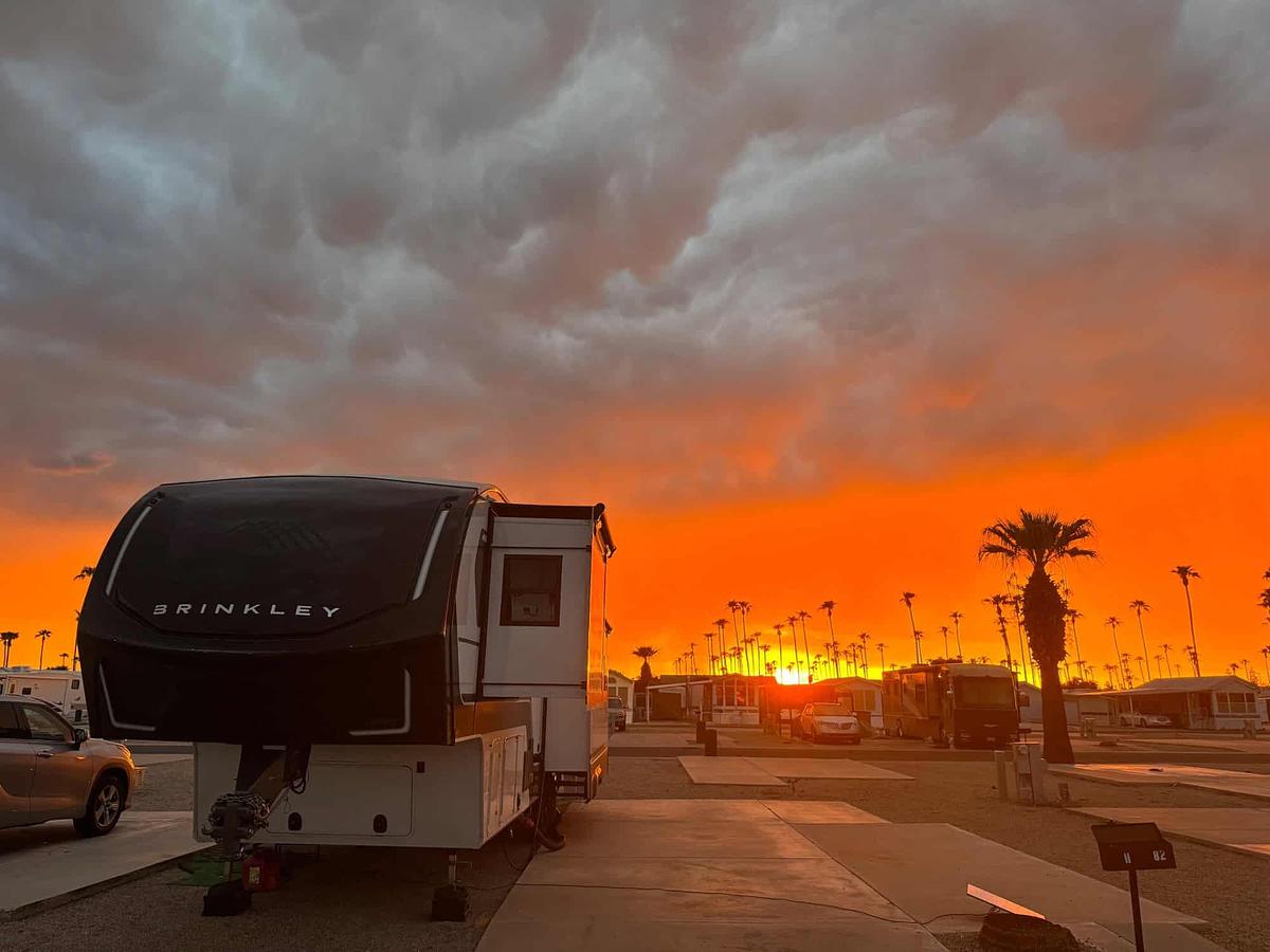 Used 2024 Brinkley Z3100