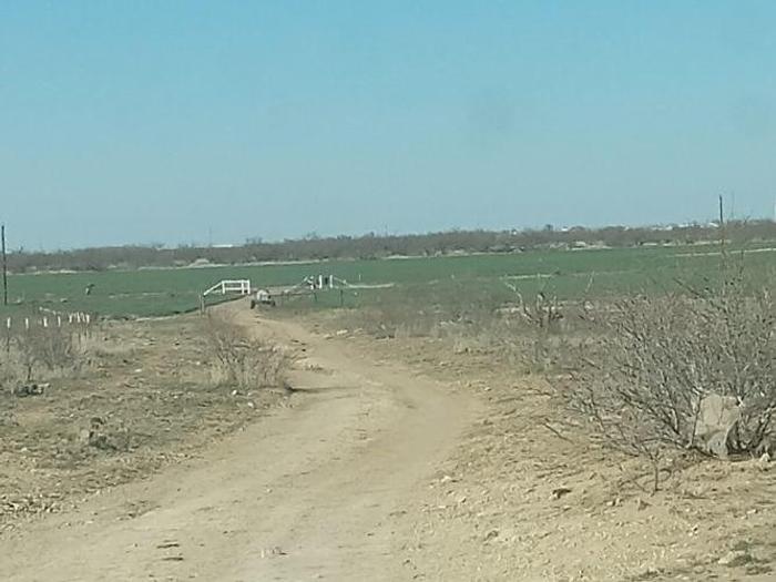 Used 2024 AG Land 162 Acres