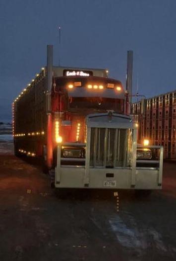 Used 2006 KENWORTH W900L