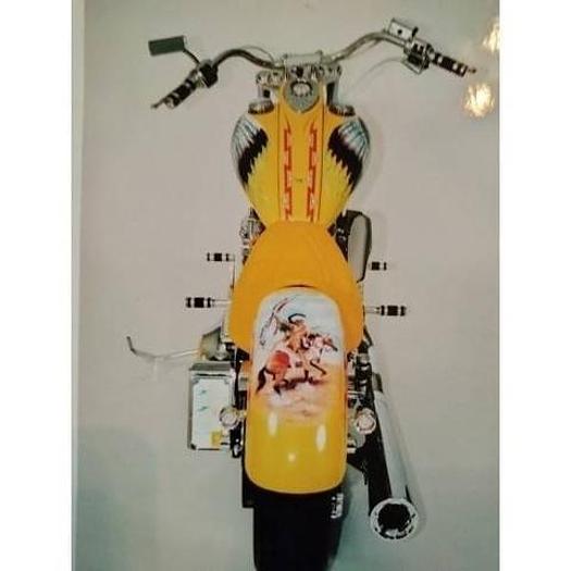 Used 2001 Indian Scout Softtail