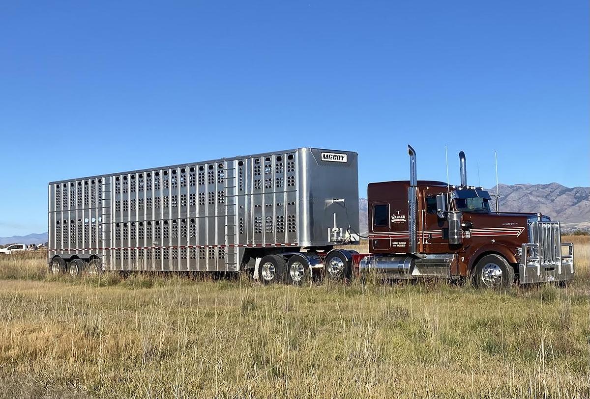 Used 2024 Kenworth W900L