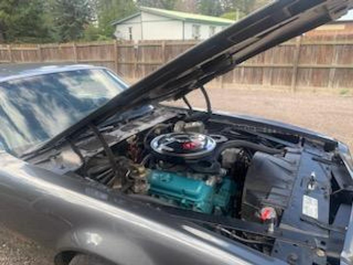 Used 1974 Pontiac Firebird Formula