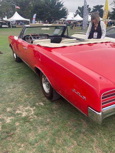 Used 1967 Pontiac GTO Convertible