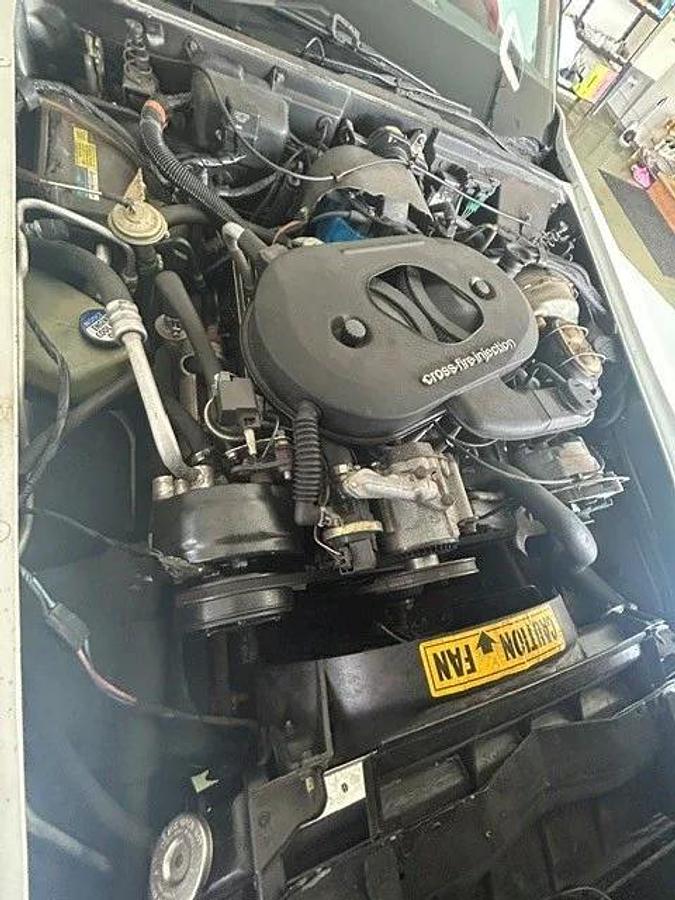 Used 1982 Chevrolet Corvette Stingray