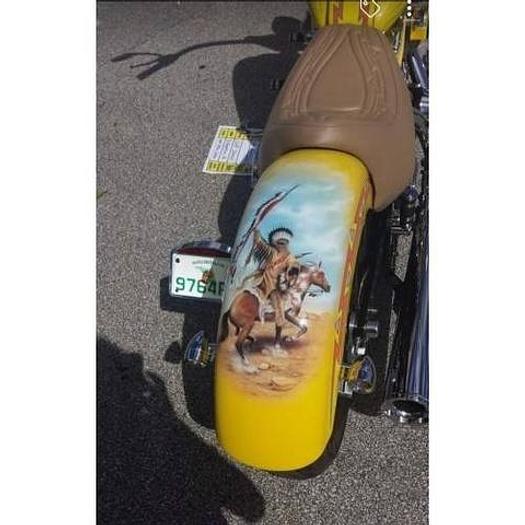 Used 2001 Indian Scout Softtail