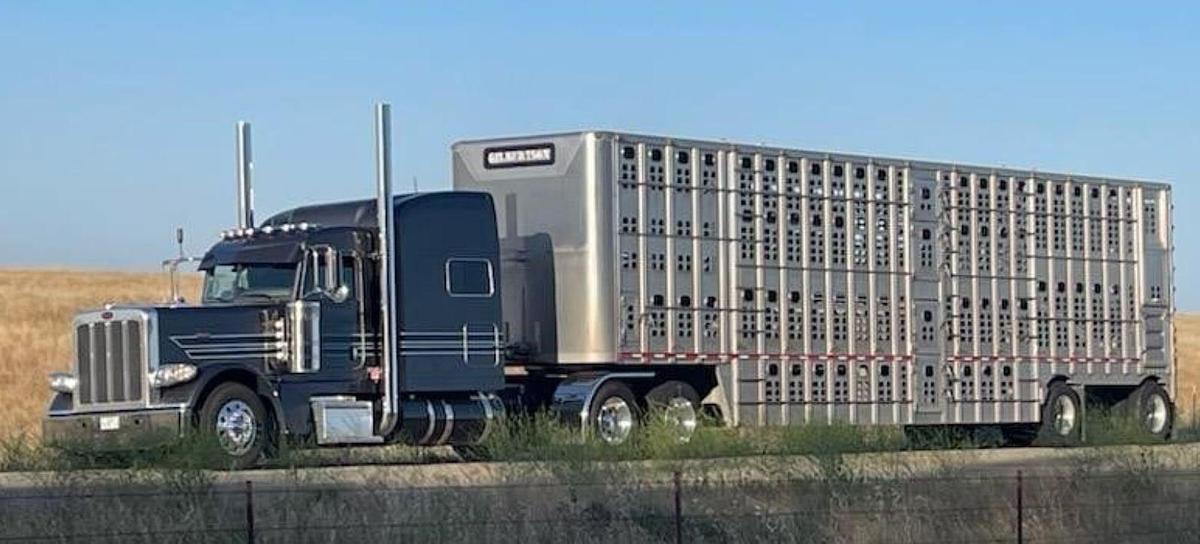 Used 2024 Peterbilt 389 Sleeper Semi Truck