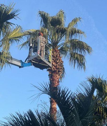 Used 2021 TEUPEN TC69A