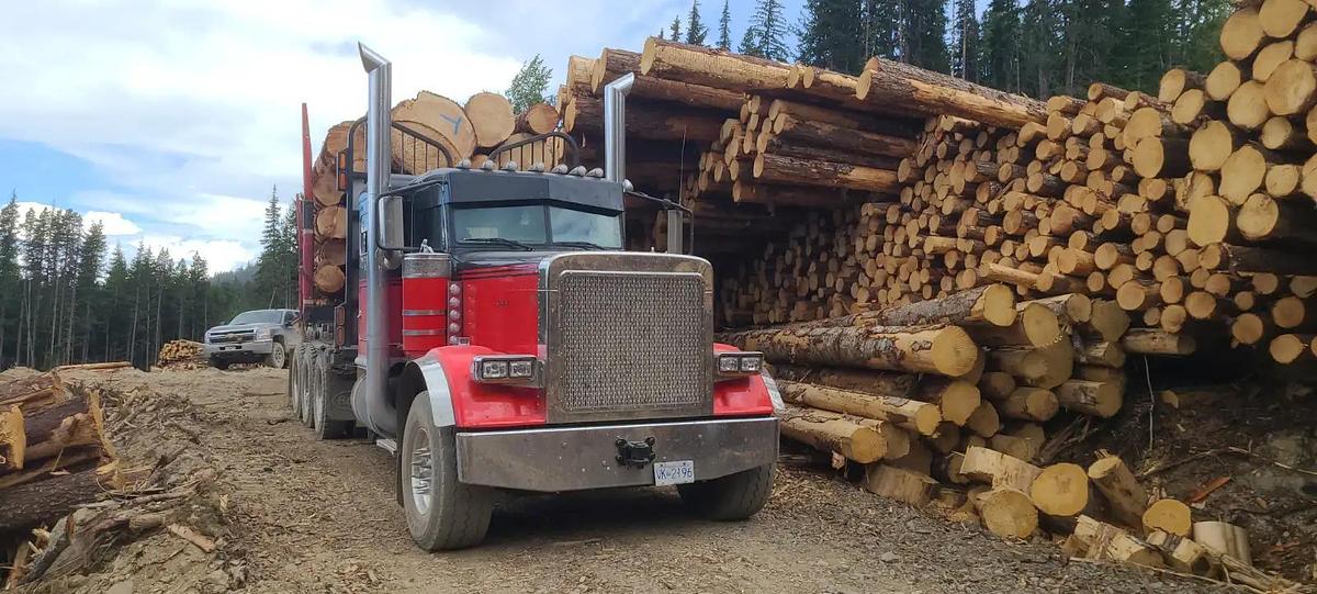 Used 2024 Peterbilt 389 Tri Drive