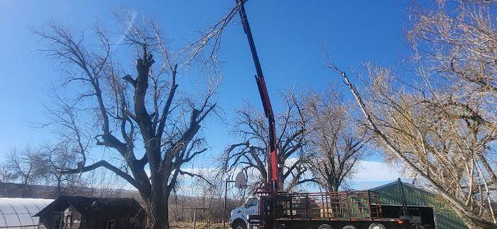 Used 2006 STERLING LT9500 with a Fassi F330SE Crane