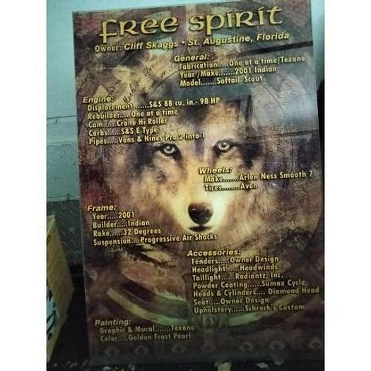 Used 2001 Indian Scout Softtail