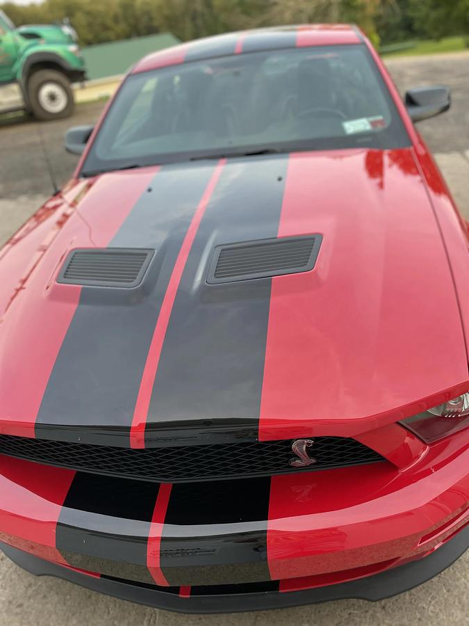 Used 2008 Ford Mustang Shelby GT500