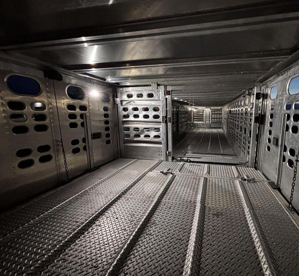 Used 2019 WILSON PSDCL-402 Livestock Trailer