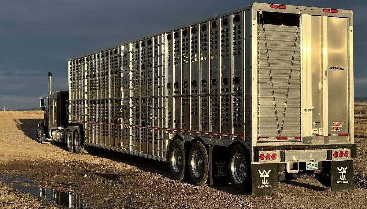 Used 2022 WILSON 53 ft x 102 in