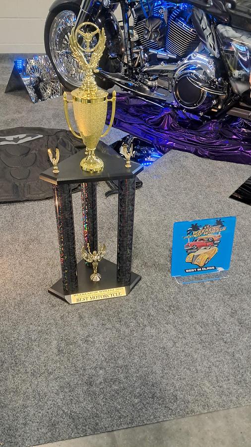 Used 2015 Harley-Davidson Road Glide Special