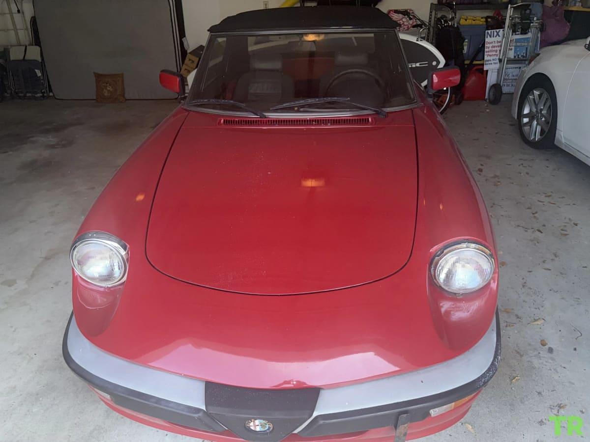 Used 1986 Alfa Romeo Spider Quadrifoglio