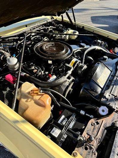 Used 1982 Cadillac Eldorado